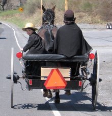 Horse and buggy.